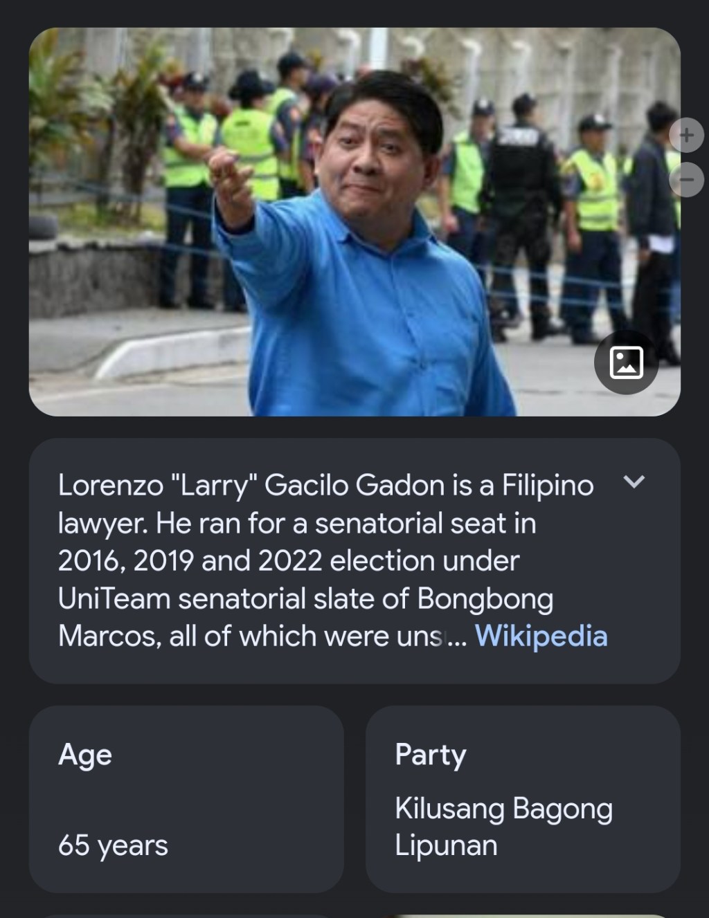 Atty. Larry Gadon, Disbar ng Korte&nbsp;Suprema