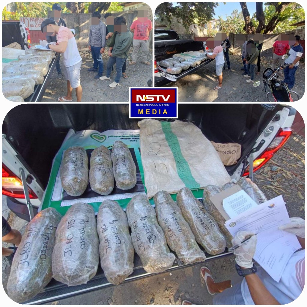 1.4M Worth of Marijuana Seized in&nbsp;Pangasinan