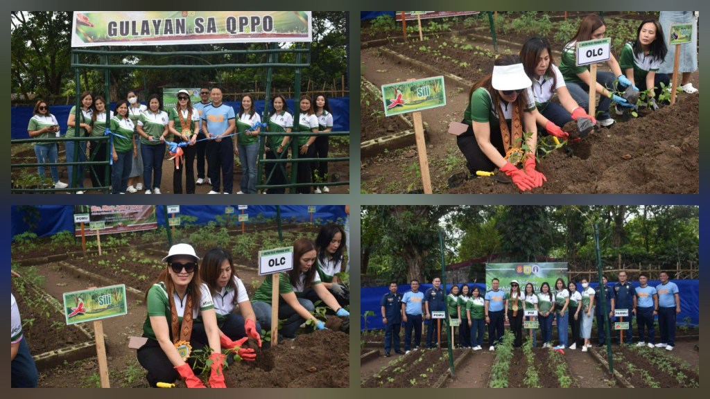 QUEZON PROVINCIAL POLICE OFFICE NAGLUNSAD NG SARILING&nbsp;GULAYAN