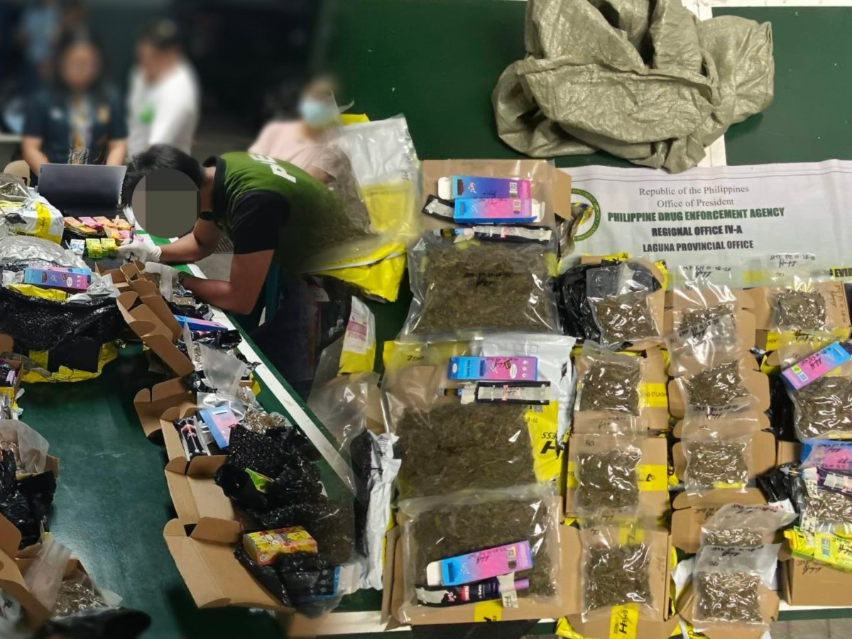 Private Citizen Turns Over ₱312K Worth of Marijuana Products to PDEA&nbsp;Laguna