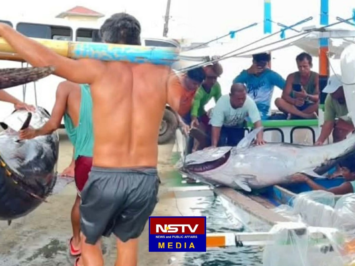 DAMBUHALANG BLUEFIN TUNA, NAHULI NG MGA MANGINGISDA SA&nbsp;QUEZON