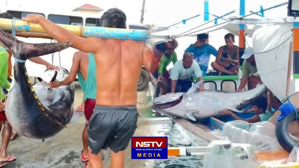 DAMBUHALANG BLUEFIN TUNA, NAHULI NG MGA MANGINGISDA SA&nbsp;QUEZON