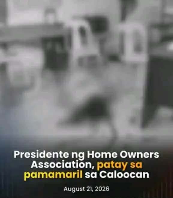 PRESIDENTE NG BRILLIANT VILLAGE HOMEOWNERS ASSOCIATION PATAY SA&nbsp;PAMAMARIL