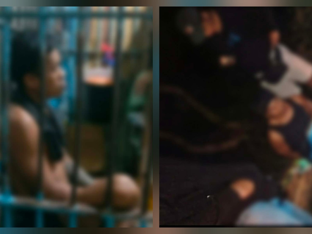 TULAK NG DROGA AT MAGNANAKAW NG MANOK NA PANABONG&nbsp;ARESTADO